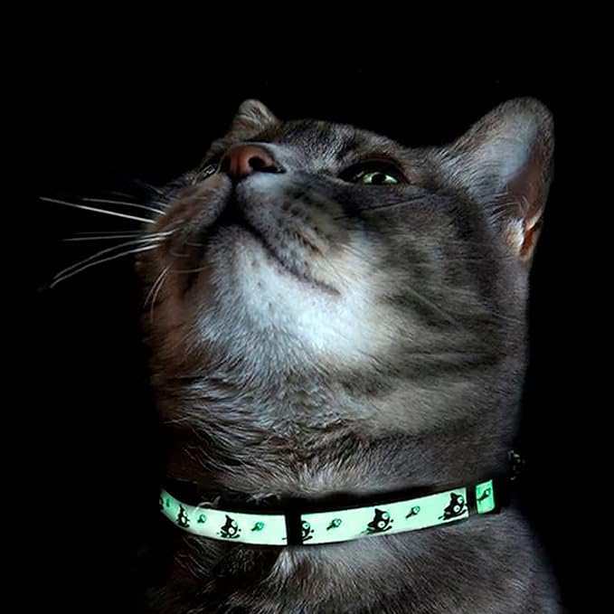 Pawtitas Glow in The Dark Cat Collar with Safety Buckle and Removable Bell Cat Collar Kitten Collar Grey Cat Collar