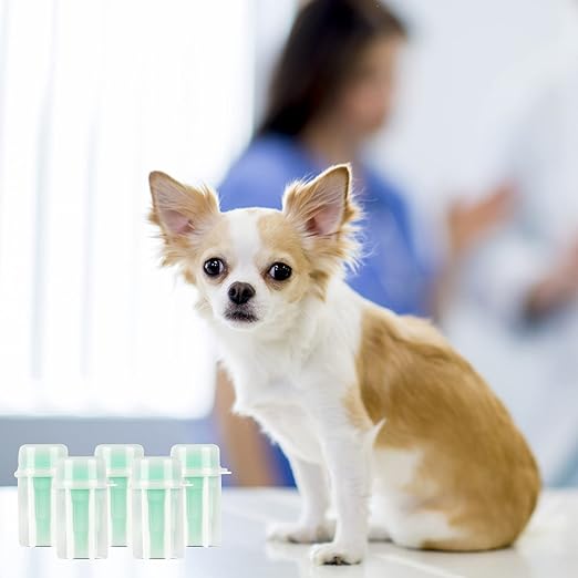 6pcs Fecal Diagnostic Kit, Animal Pet Stool Sample Collection Kit Cat Dog Stool Test, Fecalyzer for Stool Sample Fecal Test