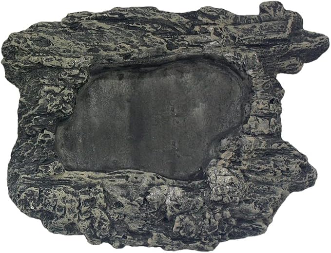 Komodo Habitat Rock Bowl Medium |Natural Looking Decorative Food & Water Dish | Ideal for Short Legged Species |