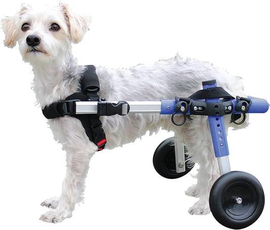 Walkin' Wheels Small Dog Wheelchair, Lightweight Dog Wheelchair for Back Legs, 11-14 lbs, for 3-6 inches Leg Height - Blue