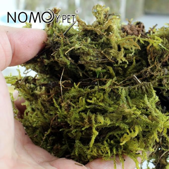 Reptile Moist Moss for Humidity, Great for Snakes, Turtle and Other Reptiles