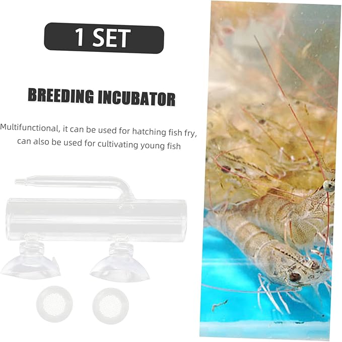 1 Set Fish Tank Incubator Glass Containers Fishing Tumbler Glass Aquarium Shrimp Breeding Box Fish Container Transparent High Borosilicate Glass Crystal Shrimp Fish Eggs