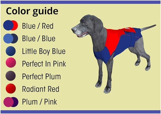 Dog Surgery Suit Female Spay, Dog Recovery Suit Male Neuter, Dog Clothes Onesie for Surgery Anti Licking Abdominal Wounds Surgical Recovery Bodysuit Shirt, Substitute E-Collar & Cone 2XL BR