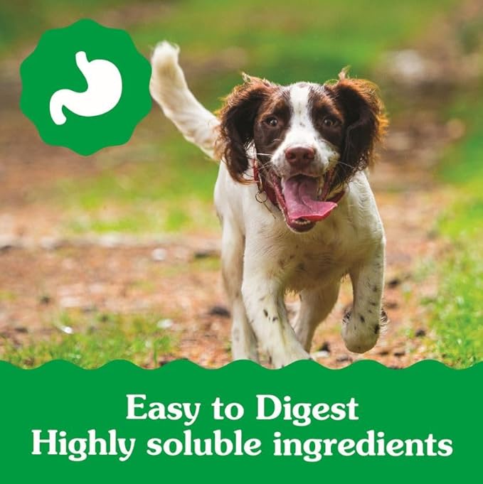 Greenies Puppy Regular Size Natural Dental Dog Treats, 6 oz. Pack (6 Treats)