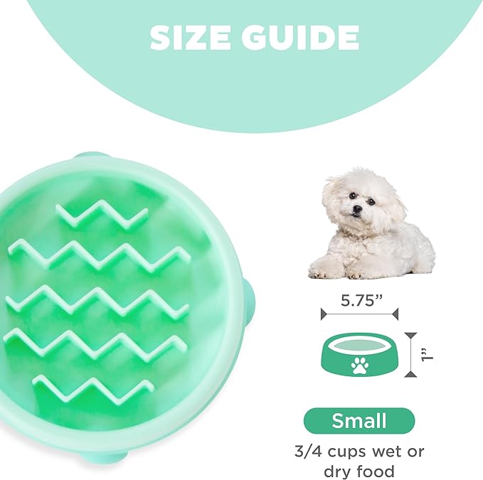 Outward Hound Fun Feeder Slo Bowl, Slow Feeder Dog Bowl, Small/Tiny, Mint