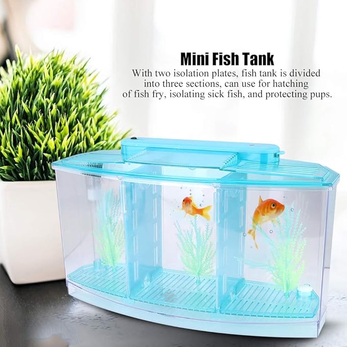 TOPINCN Aquarium Isolation Box Acrylic Breeding Hatchery Small Fishes Incubator Mini Fish with Three Divisions and LED Light(Blue)