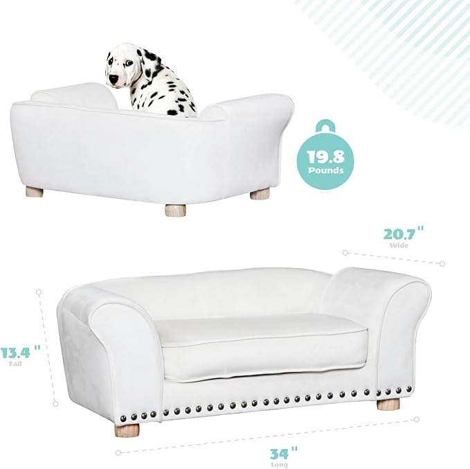 Critter Sitters 34-in. Faux Velvet Dog Couch in Cream for Medium-Sized Dogs and Cats, Modern and Durable Indoor Dog Sofa for Bedroom or Living Room, Comfortable and Easy to Clean Upholstered Dog Beds