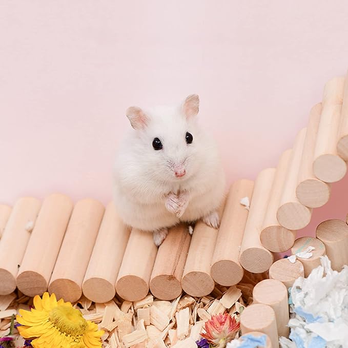 Rat Ladder Bridge, Wooden Hamster Climbing Ladder Toy, Small Animals Cage Accessories for Bird Parrot Hamster Mouse Rat Sugar Glider Hermit Crab Sugar Glider Chinchilla(23.62x3.14 Inches)