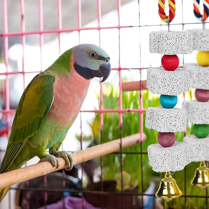 MiOYOOW 2PCS Parrot Chewing Toys, Bird Beak Grinding Calcium Stones Hanging Bird Cage Accessories with Bells for Small pets Parakeet Hamster Chinchilla Lovebird Cockatiel