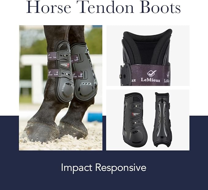 LeMieux Horse Tendon Boots - Protective Gear and Training Equipment - Equine Boots, Wraps & Accessories - Tendon Protection and Support