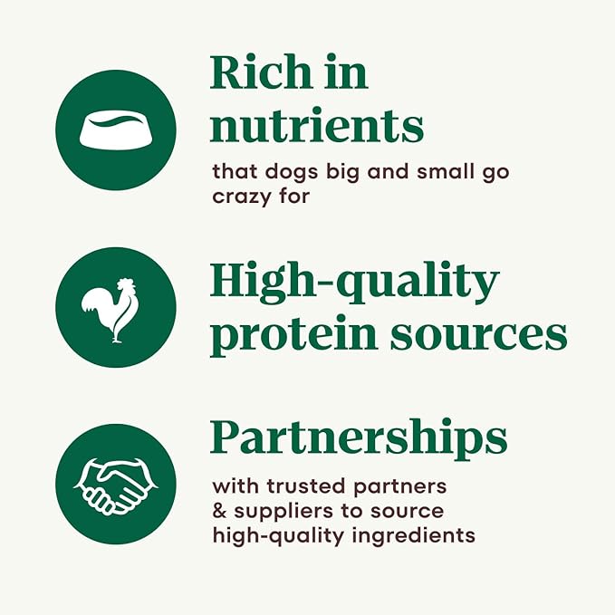 NUTRO PREMIUM LOAF Adult Natural Grain Free Wet Dog Food Slow Cooked Chicken, Potato, Carrot & Pea Recipe, 12.5 oz. Cans (Pack of 12)