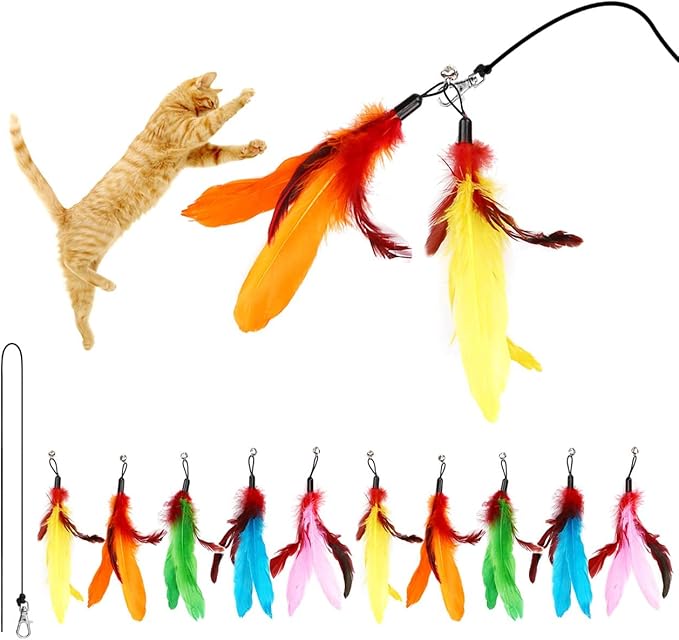 11PCS Cat Feather Toys Replacement Cat Toy Wand Refills, 10PCS Feathers Refill and 1PC Replacement String, Interactive Cat Wand Toy Replacement Feather for Bored Indoor Adult Cats Kitten