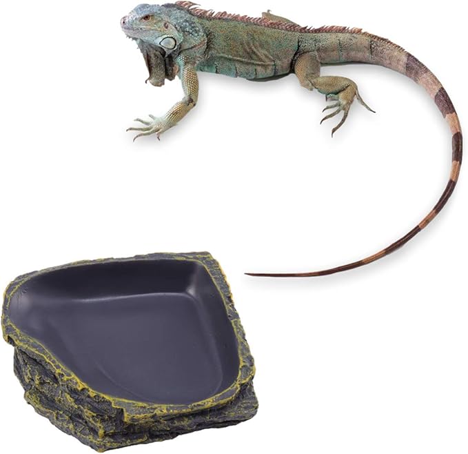 POPETPOP Reptile Food Dish Terrarium Water Bowl Food Feeding Plate Container Drinking Water Tray Resin for Snake Tortoise Frog