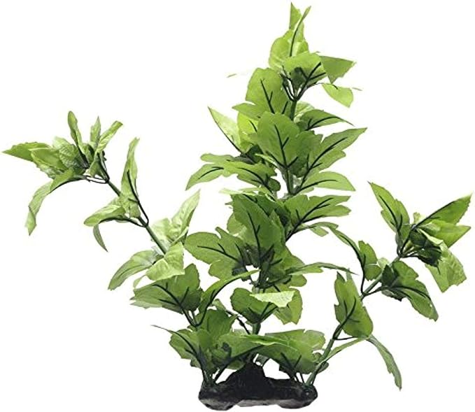 Fluval Lizard's Tail Plant for Aquarium, 16-Inch