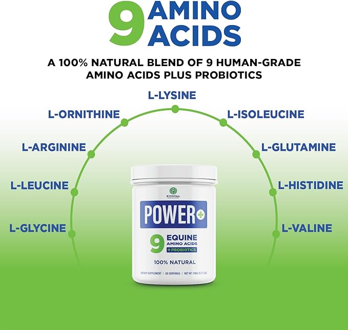 Power+ Horse Supplement (348g/0.77lbs - 60 Servings) - 9 Equine Amino Acids Plus Probiotics for Horses - No Added Sugar, No Soy, No Fillers - Horse Joint Support Supplement