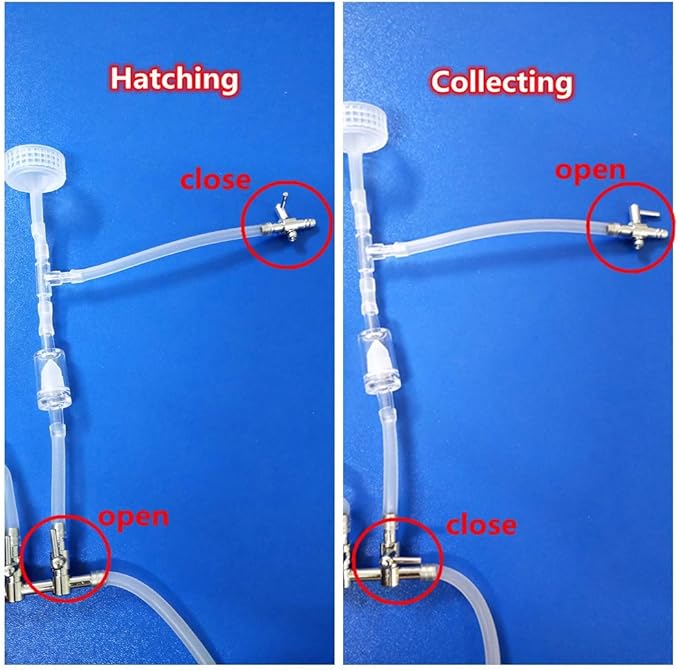 Simple 5-Way soda Bottles brine Shrimp Hatchery kit Artemia Hatching Tools…