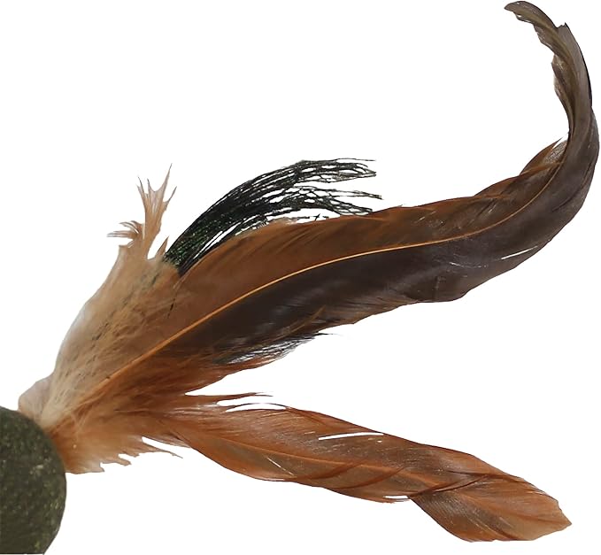 Penn-Plax Cat-Life Natural 5-Piece Toy Bundle for Cats – Contains Silvervine and Compressed Catnip – 2 Wands, 1 Pack of Silvervine Sticks, and 2 Birdies