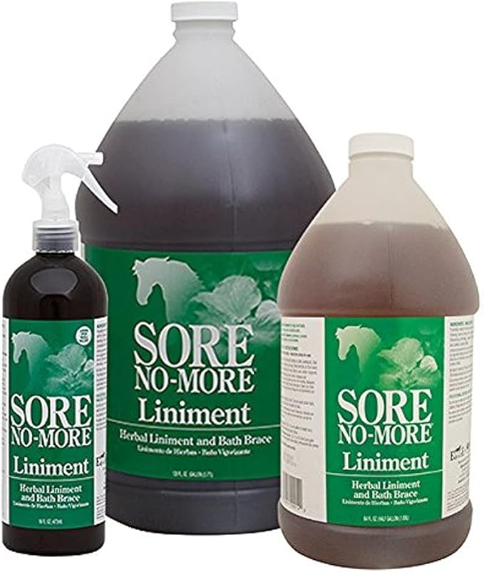 Sore No More Liniment Bottle with Sprayer (16-Ounce)