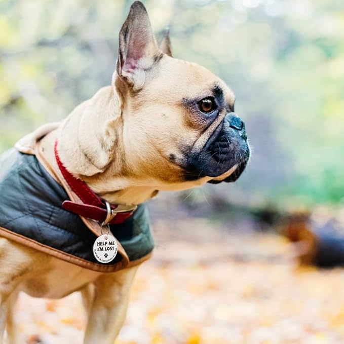 MYLUCKYTAG Stainless Steel QR Code Pet ID Tags Cat Tags - Pet Online Profile - Scan QR Receive Instant Pet Location Alert Email