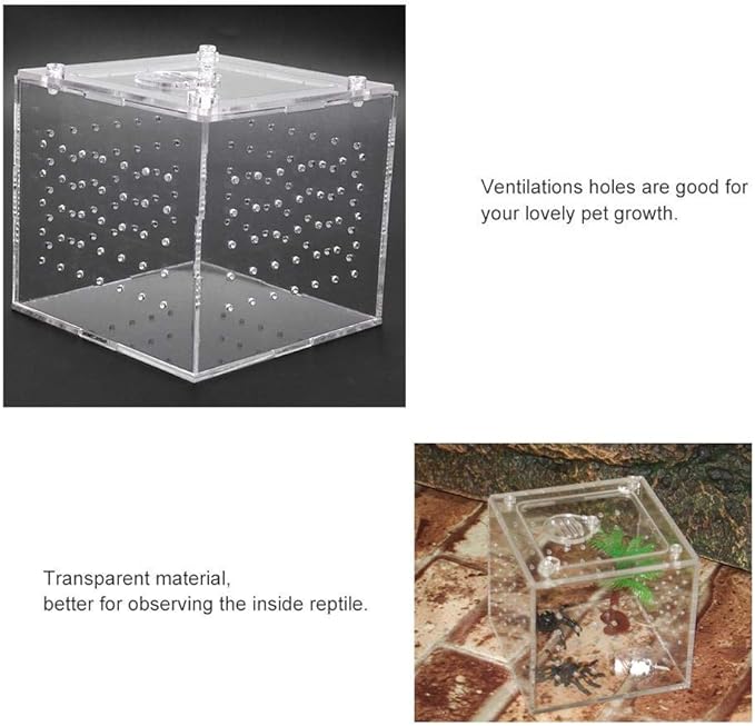 Transparent Reptile Viewing Box, Live Food Storage Acrylic Reptile Breeding Box for Spider Crickets Snails Tarantulas Geckos 3.9x3.9x3.5inch