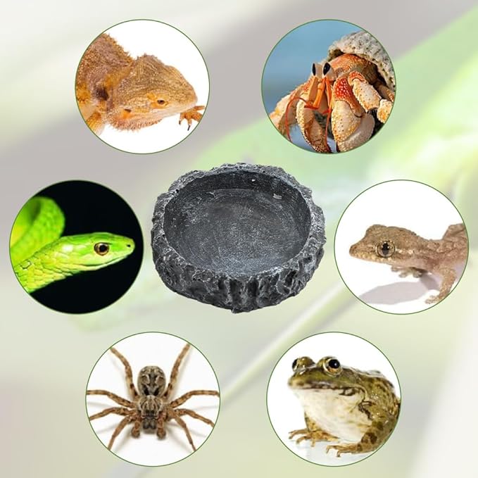 Reptile Bowls, 2 Pcs Reptile Feeding Dish with Clamp & Shovel, Resin Rock Reptile Water & Food Bowls, Amphibian Reptile Feeding Terrarium Bowls for Gecko Lizard Spider Scorpion Chameleon