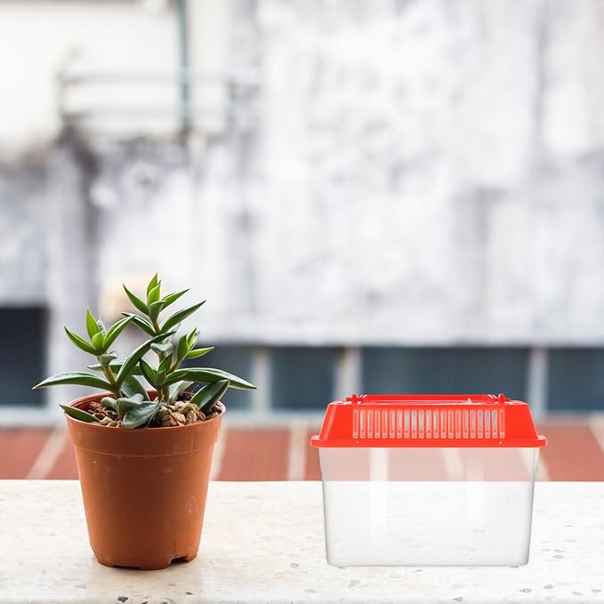 Baluue Portable Fish Tank, Handheld Fish Tank, Plastic Mini Fish Box, Transparent Cutout Design, Plastic Aquarium with Handle for Turtle and Pet Fish ((Red- Lid for Random))