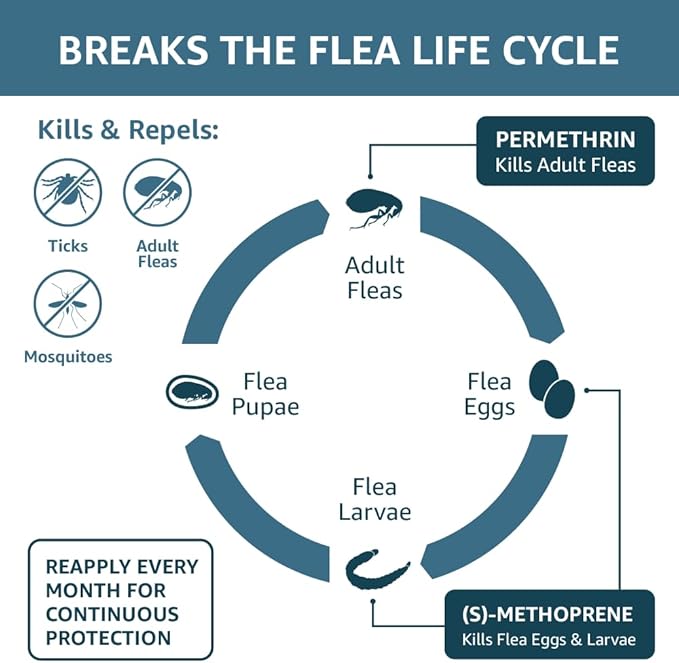 Amazon Basics Flea, Tick & Mosquito Topical Treatment for X-Large Dogs (over 55 pounds), 6 Count (Previously Solimo)
