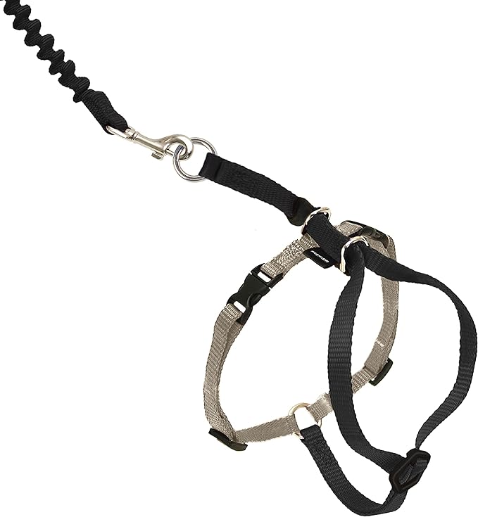 PetSafe Come with Me Kitty Harness and Bungee Leash – Adjustable, Lightweight Harness for Cats – Small, Black