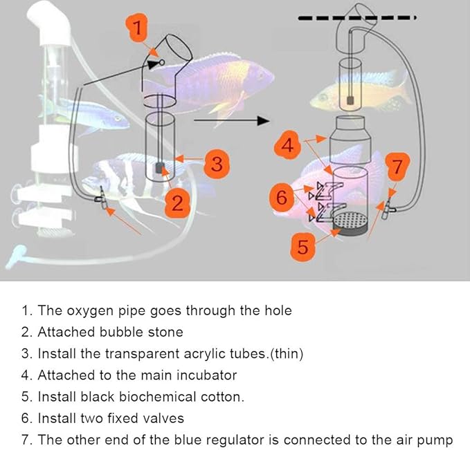 HEEPDD Fish Egg Incubator, 50MM Aquarium Cichlids Fish Hatchery Isolation Fish Breeding Box for Fish