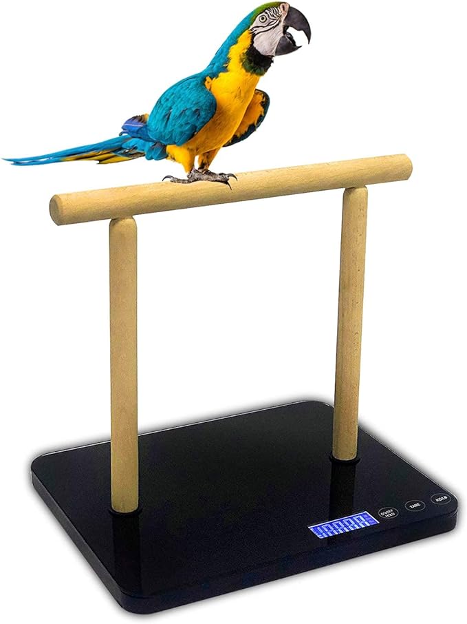 Digital bird scale with perch, bird scale grams, Max 44lbs, Capacity with Precision up to ±1g, BLACK, Suitable for Parrot and all kinds of bird