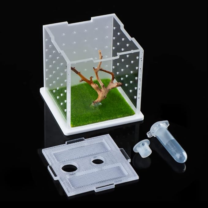 Spider Acrylic Breeding Box, Tarantula Transparent Terrarium, Jumping Spider Feeding Box, Insect Habitat Hatching Container Cage