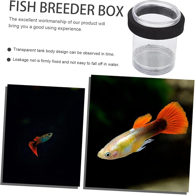 Box Pot Incubators Fishbowls Aquatainer Fish Net Box Fish Breeding Boxes Floating Box Fish Aquarium Boxes Fish Tank Hatching Incubator