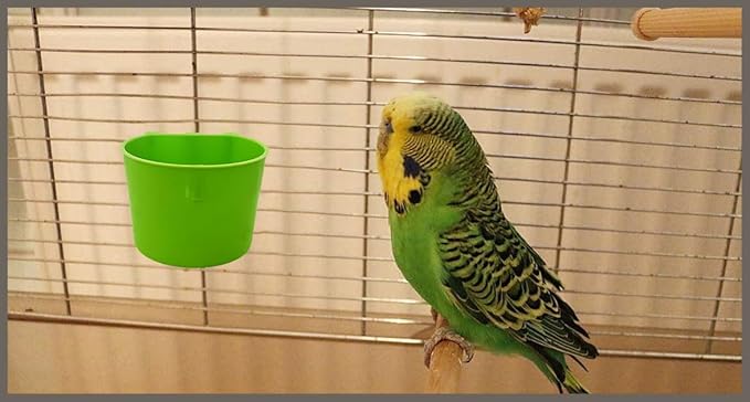 40 Pack Cage Cups Birds Feeders Seed Bowl Chicken Feeding Watering Dish Rabbit Water Food Hanging Wire Cages Box 8oz Coop Cups for Pet Parrot Parakeet Gamefowl Poultry Pigeon (Green)