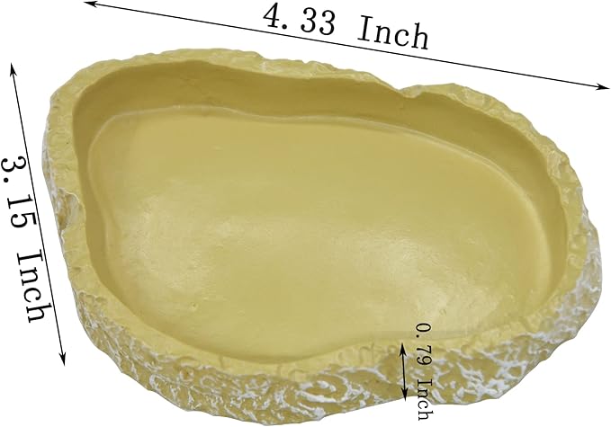 Shallow Reptile Dish Reptile Feeder Terrarium Bowls, Reptile Water and Food Bowls for Lizard Feeding Bearded Dragon Food Dish, Gecko Reptile Water Dish