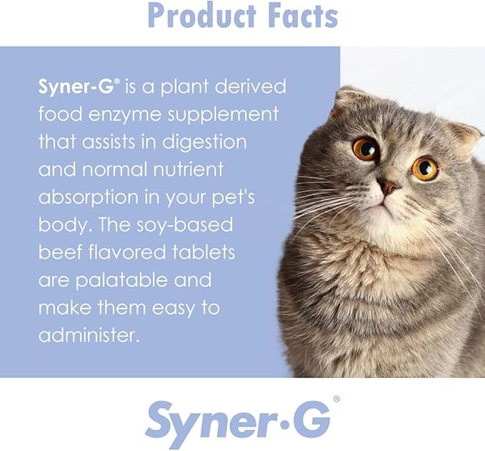 PHS Syner-G Digestive Enzymes Supplement for Dogs and Cats - Enzymes Alpha-Amylase, Lipase, Cellulase, and Protease - Digestion Support, Absorption of Nutrients, Skin Health - Made in USA - 454 grams