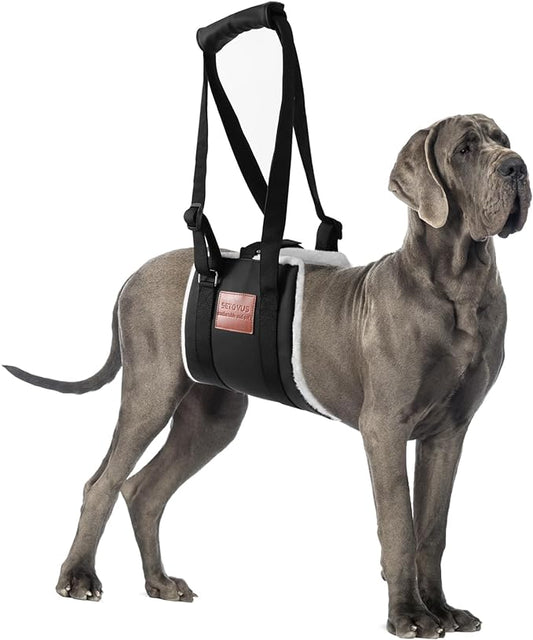 Dog Sling for Back Legs, Dog Lift Harness, Velcro Dog Sling for Large Dogs Hind Leg Support, Elderly Dog Lifter, Help Canie Hip Arthritis K9 Cruciate Ligament Rehabilitation (Large) Black