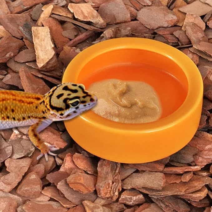 Terrarium 2pcs Reptile Food Dish Bowl Worm Water Dish Small Lizard Gecko Ceramic Pet Bowls Bowls for Leopard Bearded Dragon Chameleon Hermit Crab Feeder Orange Food Containers