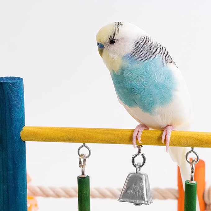 Penn-Plax Bird Life Wooden Playpen – Great for Parakeets, Lovebirds, and Parrotlets – Small
