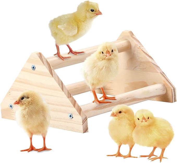 Chicken Perch Strong Pine Wooden Chick Jungle Gym Roosting Bar, Chick Perch Toys for Coop and Brooder for Large Bird Baby Chicks Parrot (Small)