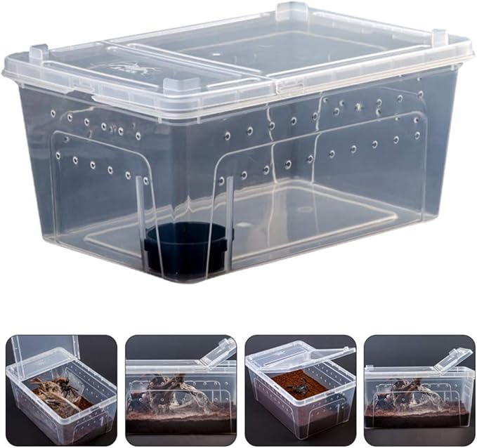 Balacoo 1 Set Acrylic Reptile Feeding Box Box Fish Breeding Case Aquarium Breeding Incubator for Snake Gecko Spider Lizard Centipede