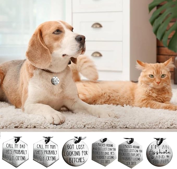 Funny Dog Tag, Stainless Steel Pet ID Tag Personalized Got Lost Dog Collar Tag Puppy Tag, Pet Cat & Dog Collar Charm Gift for Dog Cats Owner Dog Lover (I Fucked Around(dad))