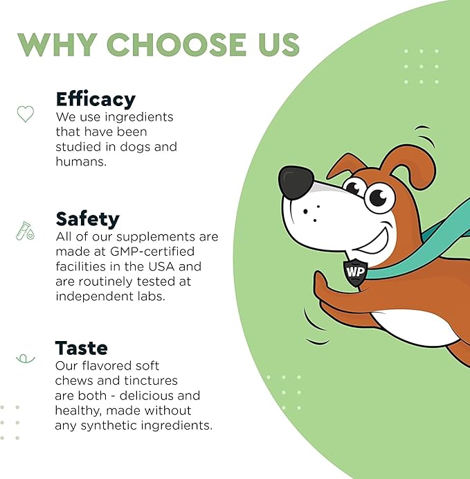 Milk Thistle, Liver Support for Dogs, Supports Kidney Function for Pets, Detox, Hepatic Support, with Wild Alaskan Salmon Oil & Curcumin, Omega 3 EPA & DHA (2, Ounces)