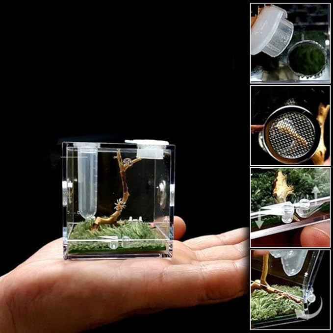Insect Box Professional Spider Habitat Pet Supplies with Humidifier Spider Feeder Breeding Cage(Transparent)