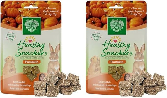 Small Pet Select - Healthy Snackers - Pumpkin (Pack of 2)