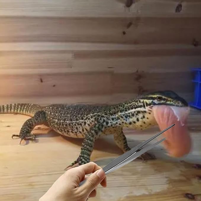 Reptile Sand Substrate Scoop Reptile Sand Fine Mesh Reptile Scooper Stainless Steel Terrarium Substrate Sand Bedding Litter Cleaner Scoop and Reptile Long Feeding Tongs Set (Green & black-2mm)