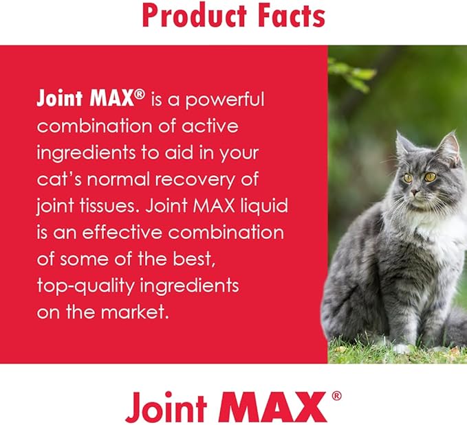 Joint MAX Liquid for Cats - Vitamins, Minerals, Antioxidants - Glucosamine, Chondroitin - Supports Joints and Cartilage Health, Chicken Flavor - Veterinarian Formulated - 8 fl oz