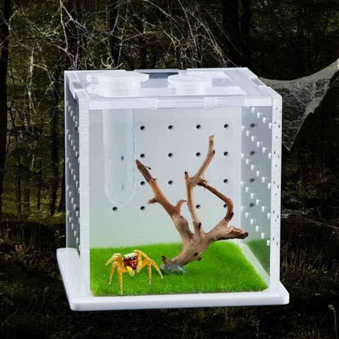 Spider Acrylic Breeding Box, Tarantula Transparent Terrarium, Jumping Spider Feeding Box, Insect Habitat Hatching Container Cage