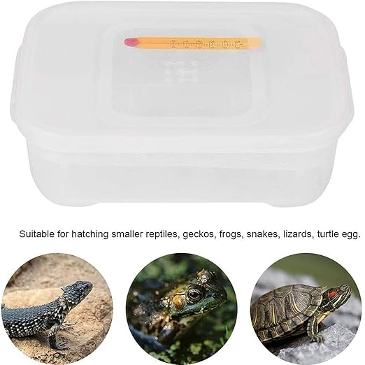 Reptile Egg Incubator Professional Hatcher Hatching Box Case Tray Plastic Breeding Incubator for Hatching Snake,Lizards, Reptiles,Gecko(12 Slots Without Thermometer)