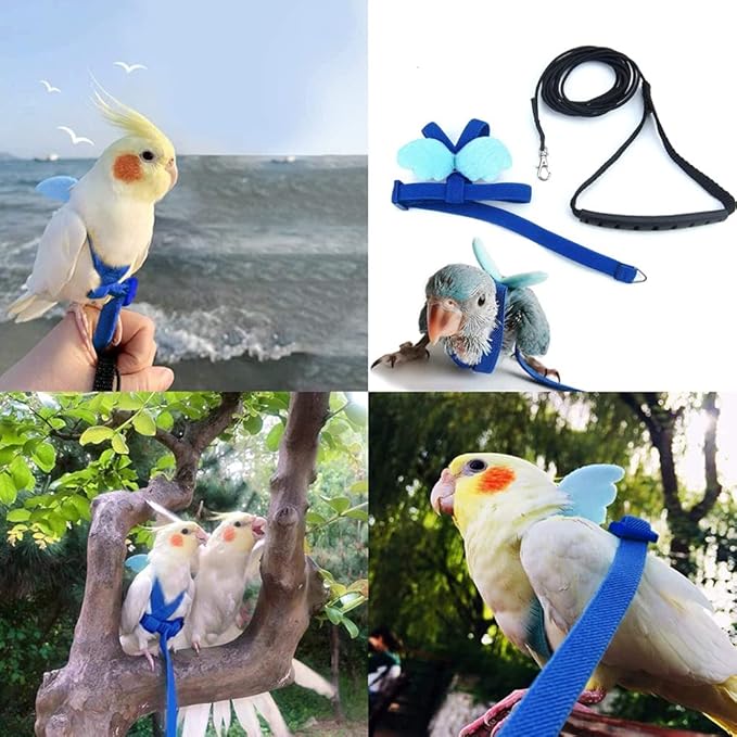 Birds Adjustable Harness and Leash, Parrot Outdoor Flying Training Traction Rope Straps with Cute Wing for Small Animal Birds, Parrots, Pigeons, Lizard, Turtles (M,Blue)