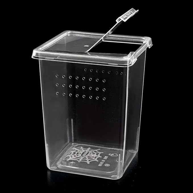6 Pcs Tarantula Enclosure Insect Spider Terrariums Breeding Box Jumping Spider Enclosure Breeding Box Hatching Container Insect Container Breeding Box (Small Size)